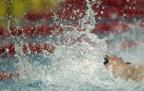 [高清组图]短池世界杯：孙晓磊男子50米仰泳夺冠