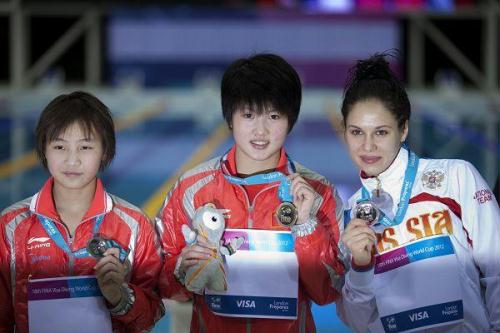 世界杯女单十米台决赛 陈若琳胡亚丹包揽冠亚