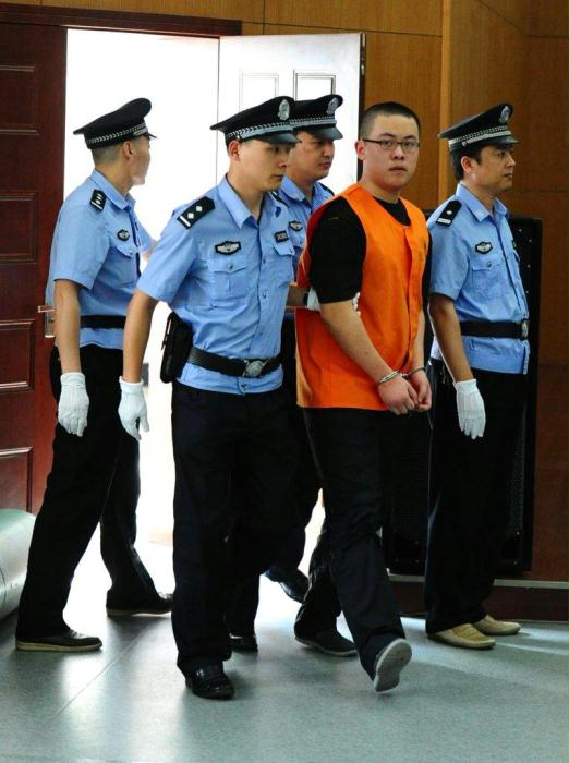 合肥少女毁容案宣判 陶某被判12年零1个月