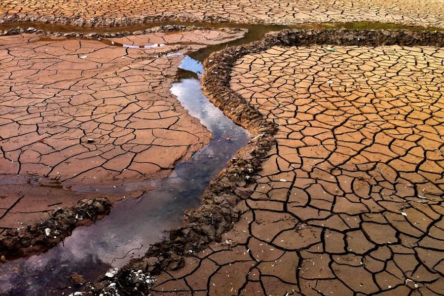 云南丽江持续干旱 景区黑龙潭干涸见底(0/419)